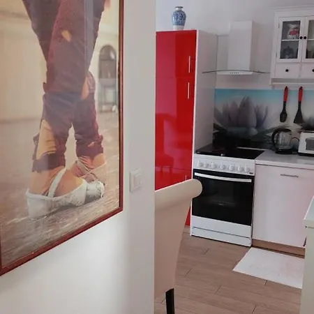 Buchholz Apartment *